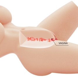 Мастурбатор-торс Lily Crazy Bull